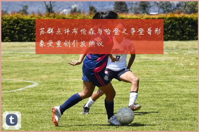 苏群点评布伦森与哈登之争登哥形象受重创引发热议